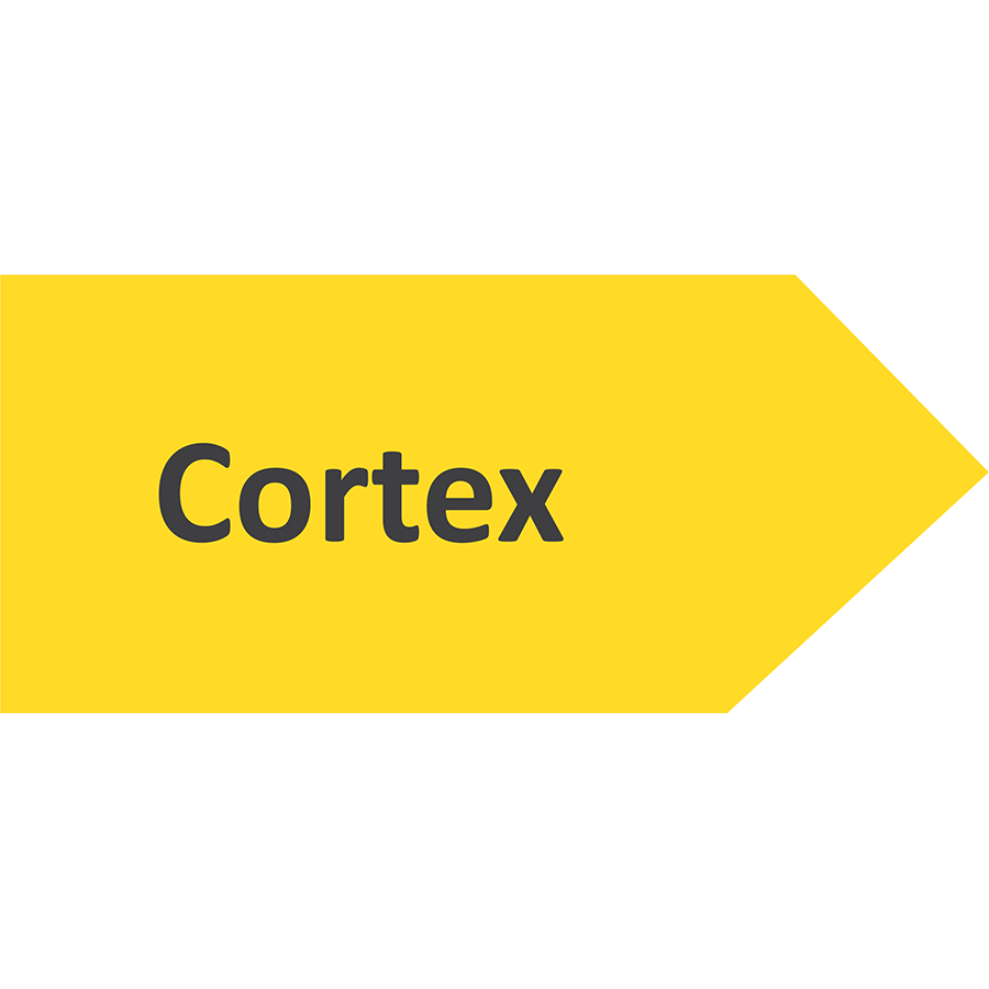 Логотип компании «Cortex»