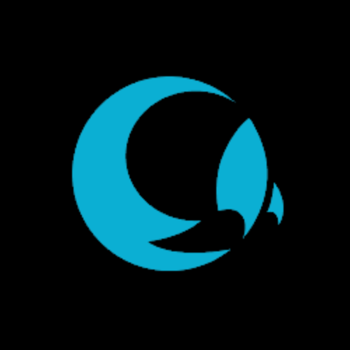 Логотип компании «MoonSolution»