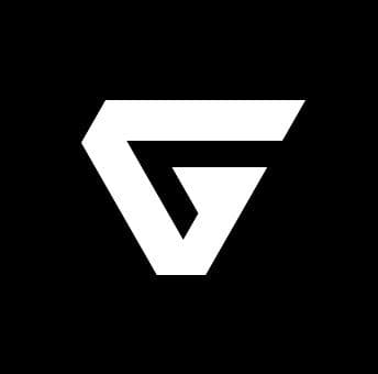 Логотип компании «Geeks studio»