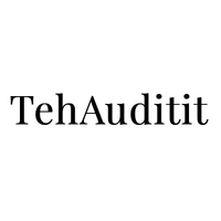 Логотип компании «TehAuditit»