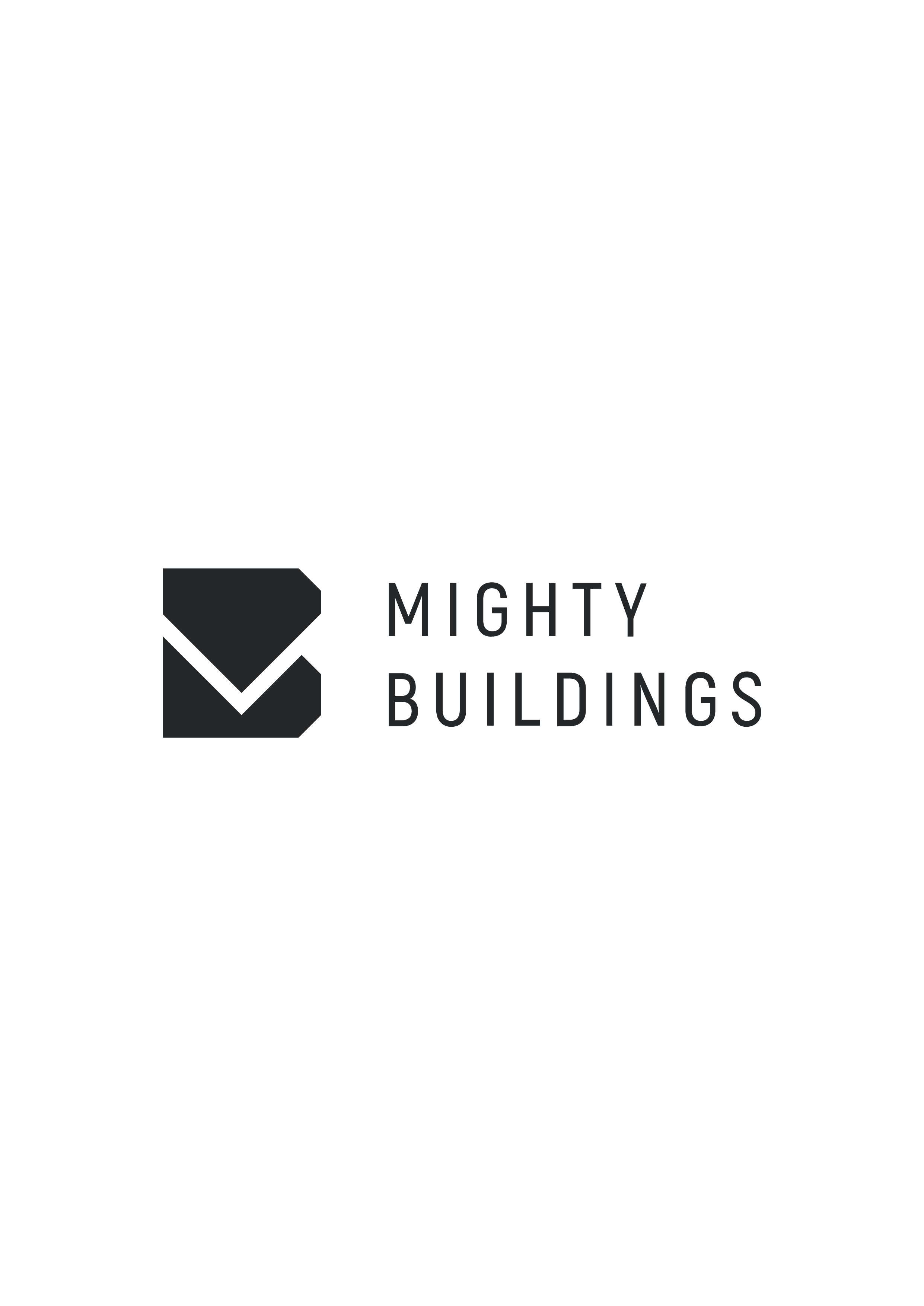 Логотип компании «MightyTech»