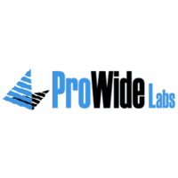 Логотип компании «ПроВайд Лабс»