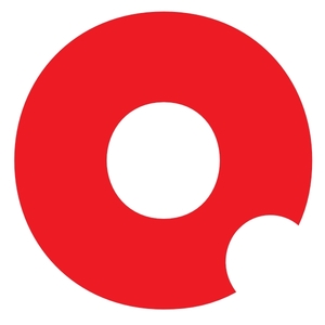 Логотип компании «Programming Store»