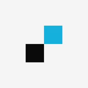Логотип компании «RAISON»