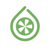 Логотип компании «Карусель РУС»