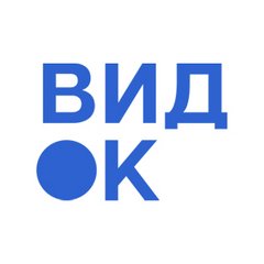 Логотип компании «ВИДОК»