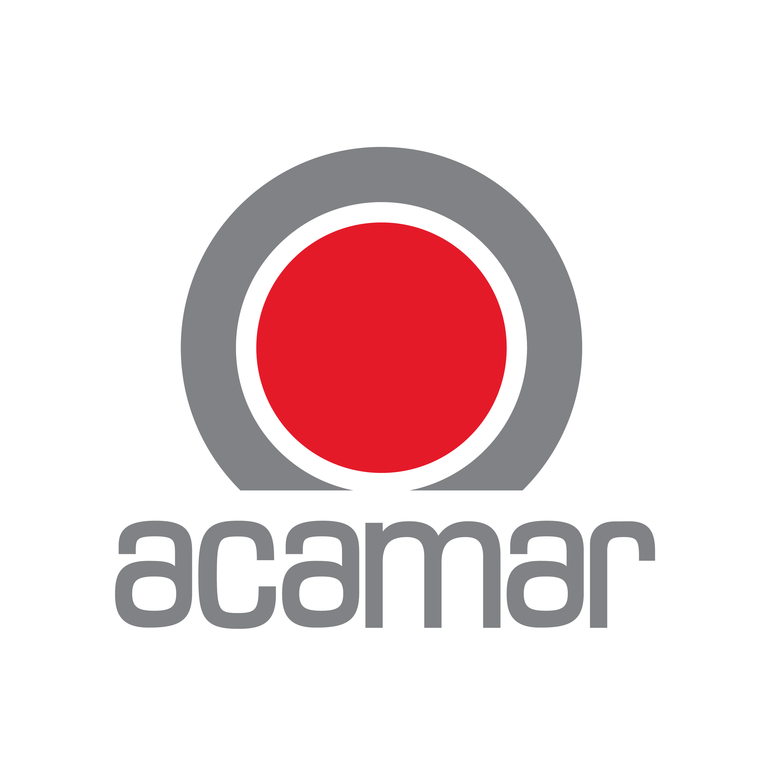 Логотип компании «Acamar»