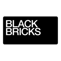 Логотип компании «BlackBricks»