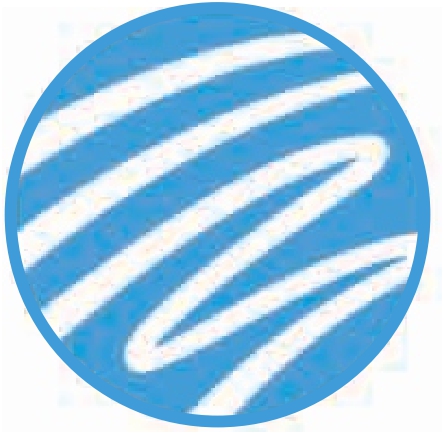Логотип компании «Lazebra»