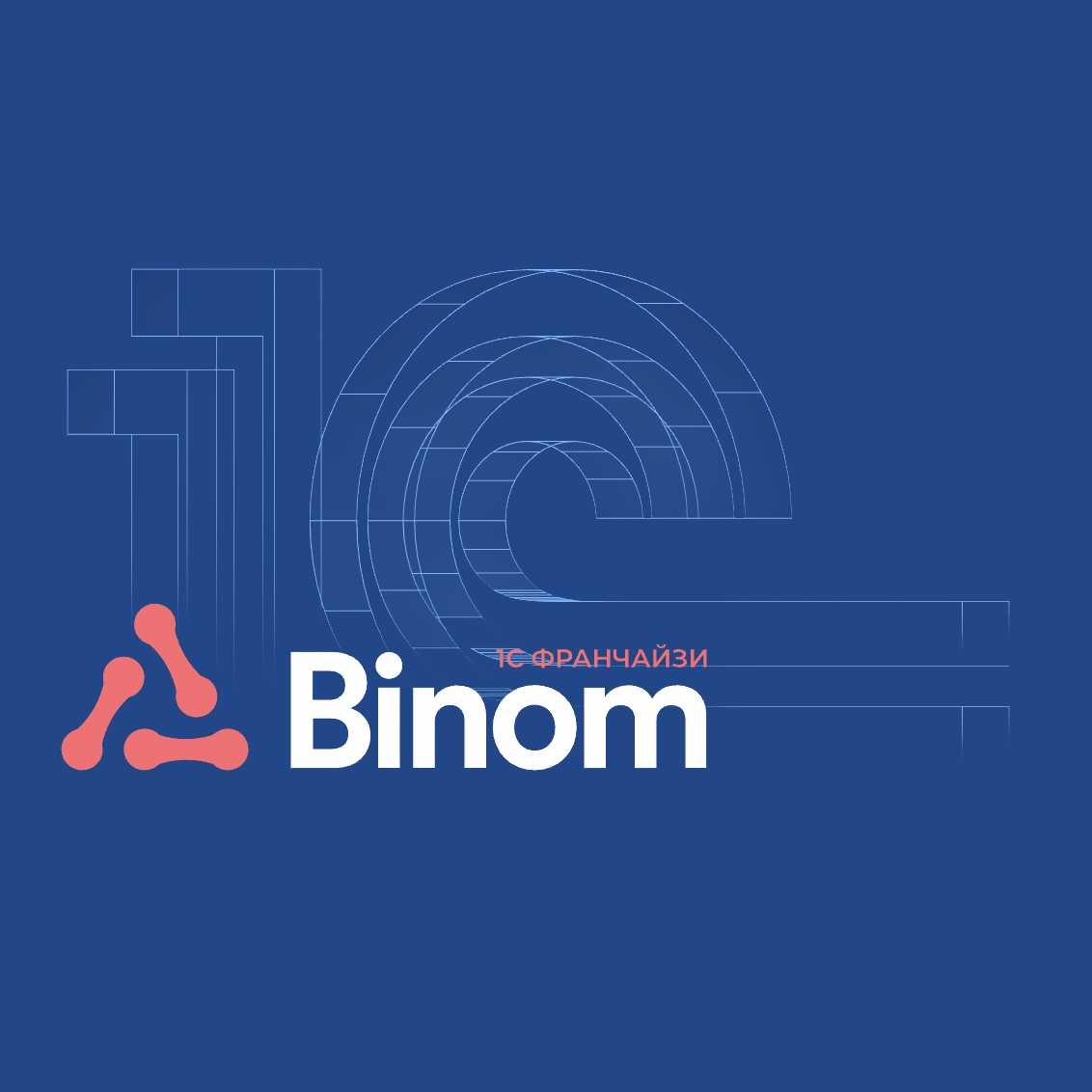 Логотип компании «BINOM»