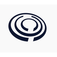 Логотип компании «Наносемантика»