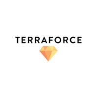 Логотип компании «TerraForce»