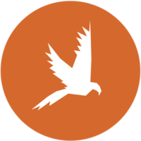 Логотип компании «Phoenix Education»