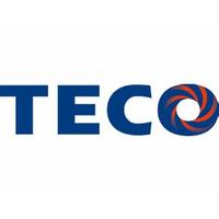 Логотип компании «TECO INC»