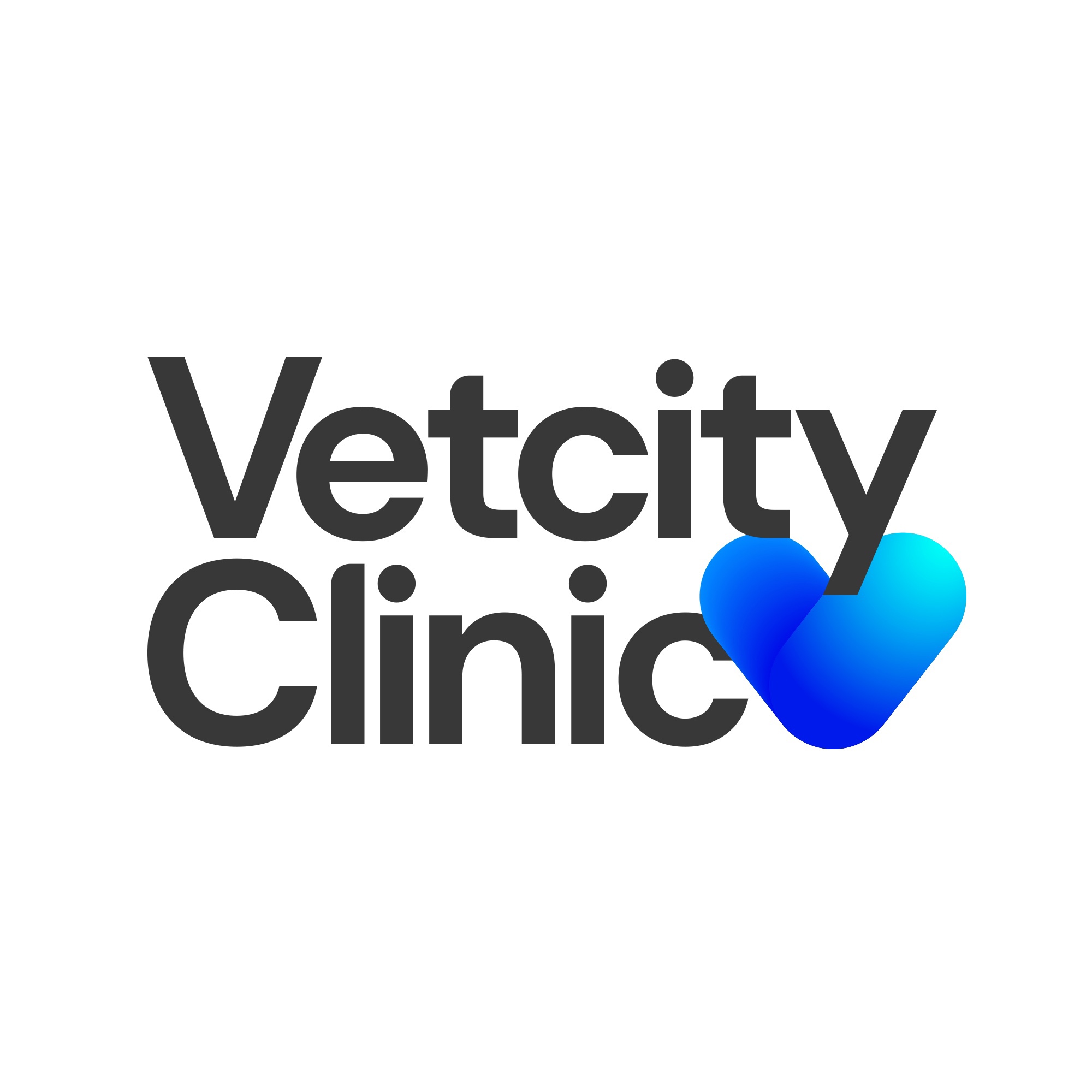 Логотип компании «Vetcity»