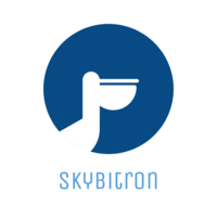 Логотип компании «Skybitron»