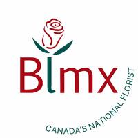 Логотип компании «Bloomex»