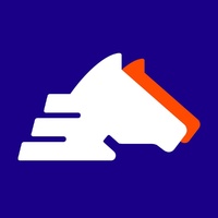 Логотип компании «Bimeister»