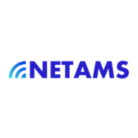 Логотип компании «Нетамс»