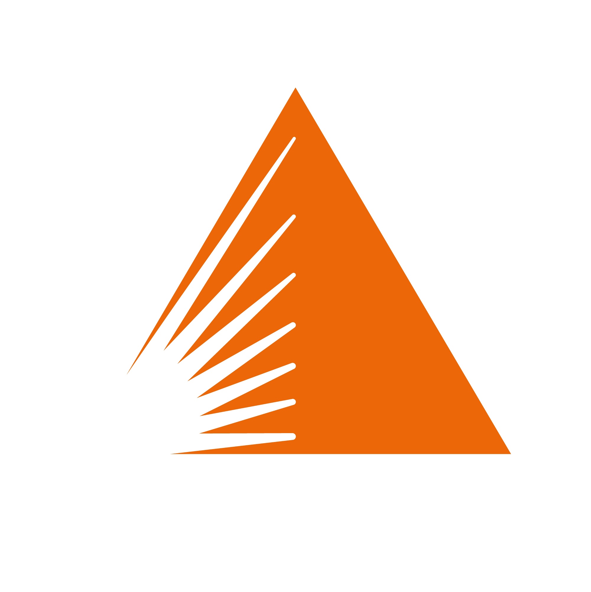 Логотип компании «Меркатор»