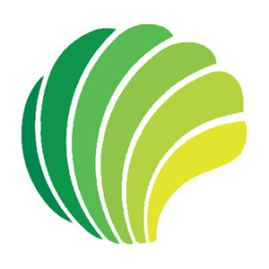 Логотип компании «Невада групп»