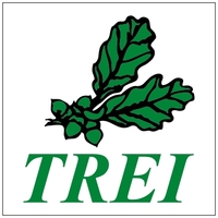 Логотип компании «ТРЭИ»