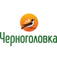 Логотип компании «ГК Черноголовка»