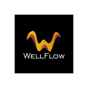 Логотип компании «WellFLow»