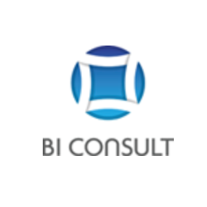 Логотип компании «BI Consult»