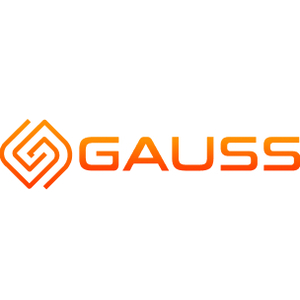 Логотип компании «Gauss»