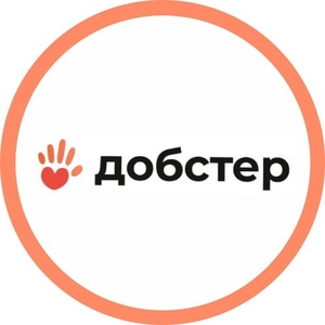 Логотип компании «ДОБСТЕР.РФ»