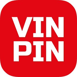 Логотип компании «VINPIN»