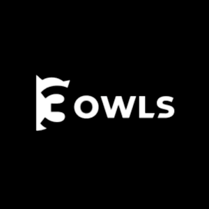 Логотип компании «3owls»