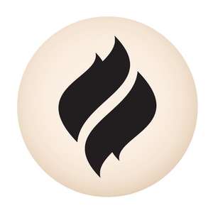 Логотип компании «Факел»