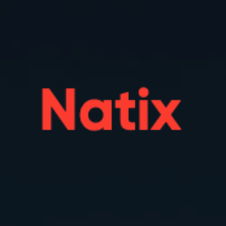 Логотип компании «Natix»