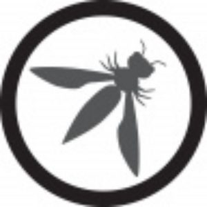 Логотип компании «OWASP»