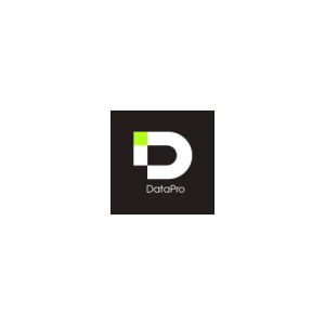 Логотип компании «DataPro»