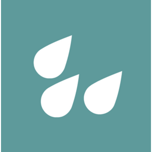 Логотип компании «DevRain»