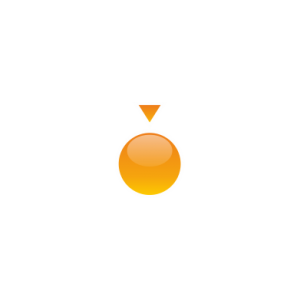 Логотип компании «Dronk.Ru»