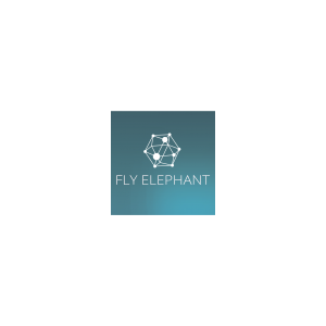 Логотип компании «FlyElephant»