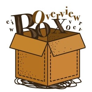 Логотип компании «Box Overview»