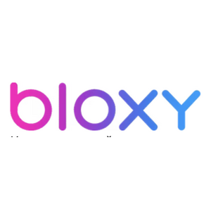 Логотип компании «Bloxy»