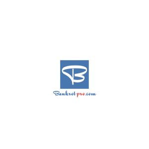 Логотип компании «Bankrot-pro»