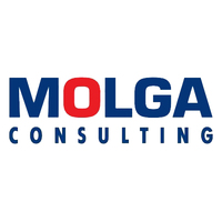 Логотип компании «MOLGA Consulting»