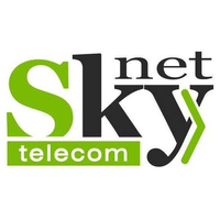 Логотип компании «SkyNet»