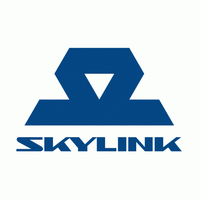Логотип компании «SkyLink»