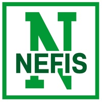 Логотип компании «Нэфис Косметикс»