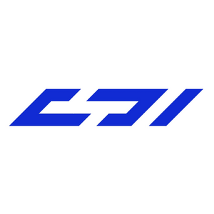Логотип компании «DBI»