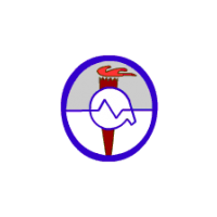 Логотип компании «ИХКГ СО РАН»