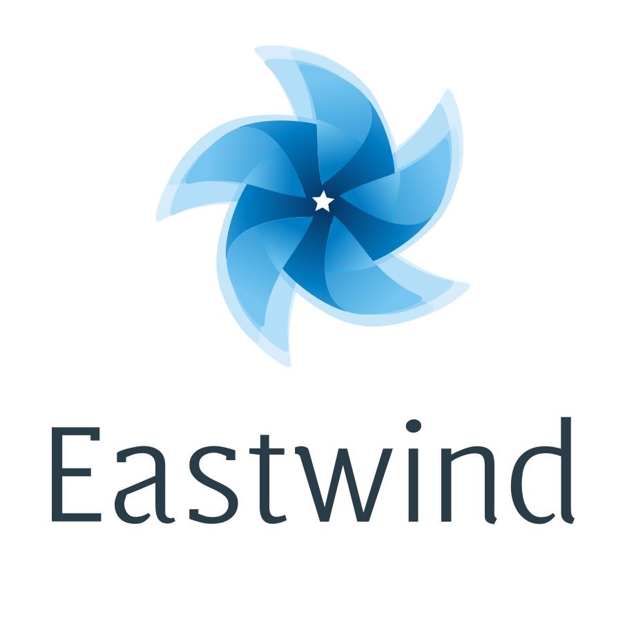 Логотип компании «Eastwind»